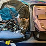 Princesse a rejoint le concours — aidez-le/la à gagner de superbes lots ! bag, cat, clothes, comfort, cozy, domestic_animal, fabric, home, indoor, luggage, packed, paws, pet, resting, sleepy, striped, suitcase, tabby, travel, whiskers