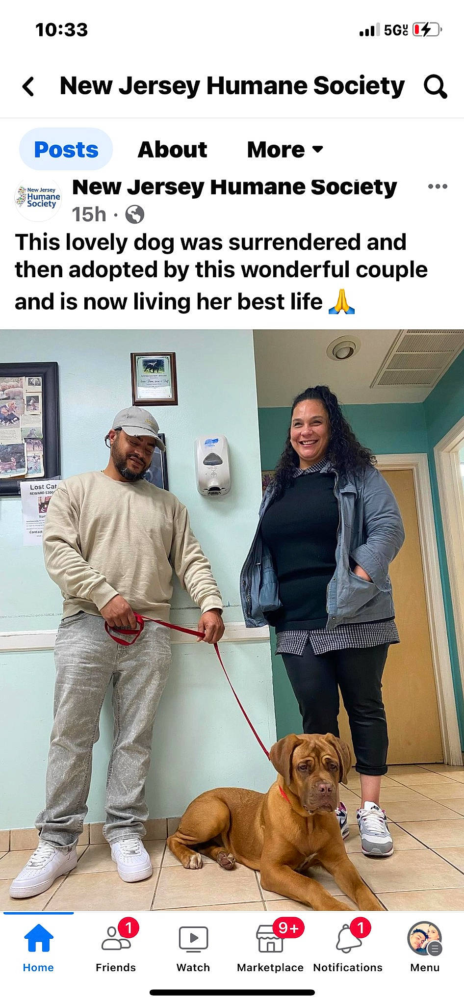 Nori Jeter joined the competition — help win amazing prizes! advertising, ancient_dog_breeds, boot, carnivore, chair, collar, companion_dog, dog, dog_breed, fawn, flooring, font, fur, guard_dog, leash, machine, room, screenshot, smile, sporting_group