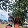 Nala is registered to the contest to win money with this photo: dog, person, shoulder, tattoo, hair_clip, outdoor, tree, sky, cloud, grass, house, fence, happy, pet, canine, animal, summer, daytime, back_view, tongue_out