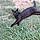 Blacky
