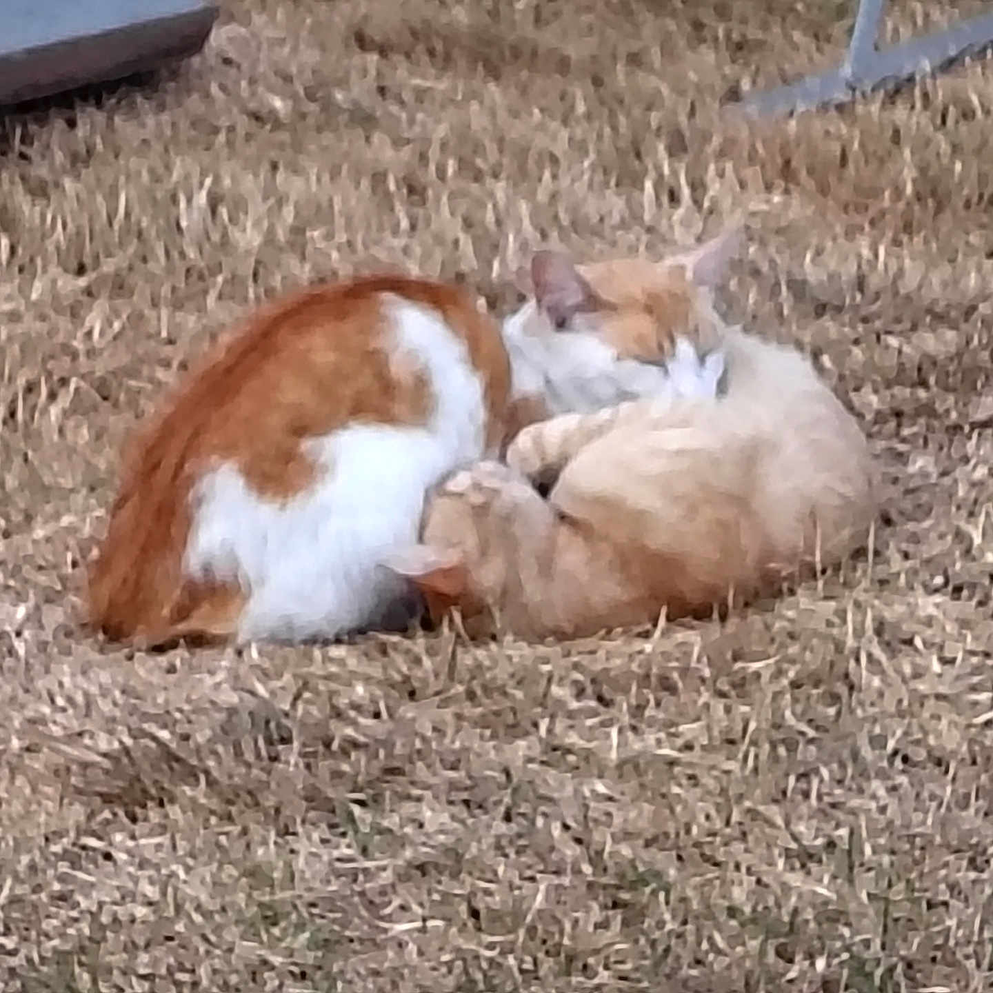 Pretty Boy And Baby