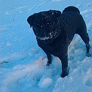 Tina a rejoint le concours — aidez-le/la à gagner de superbes lots !