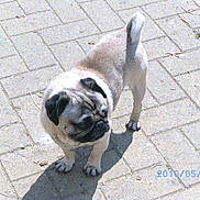 Tayson a rejoint le concours — aidez-le/la à gagner de superbes lots !