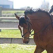 Vulcano participe au concours pour gagner de l'argent avec cette photo :