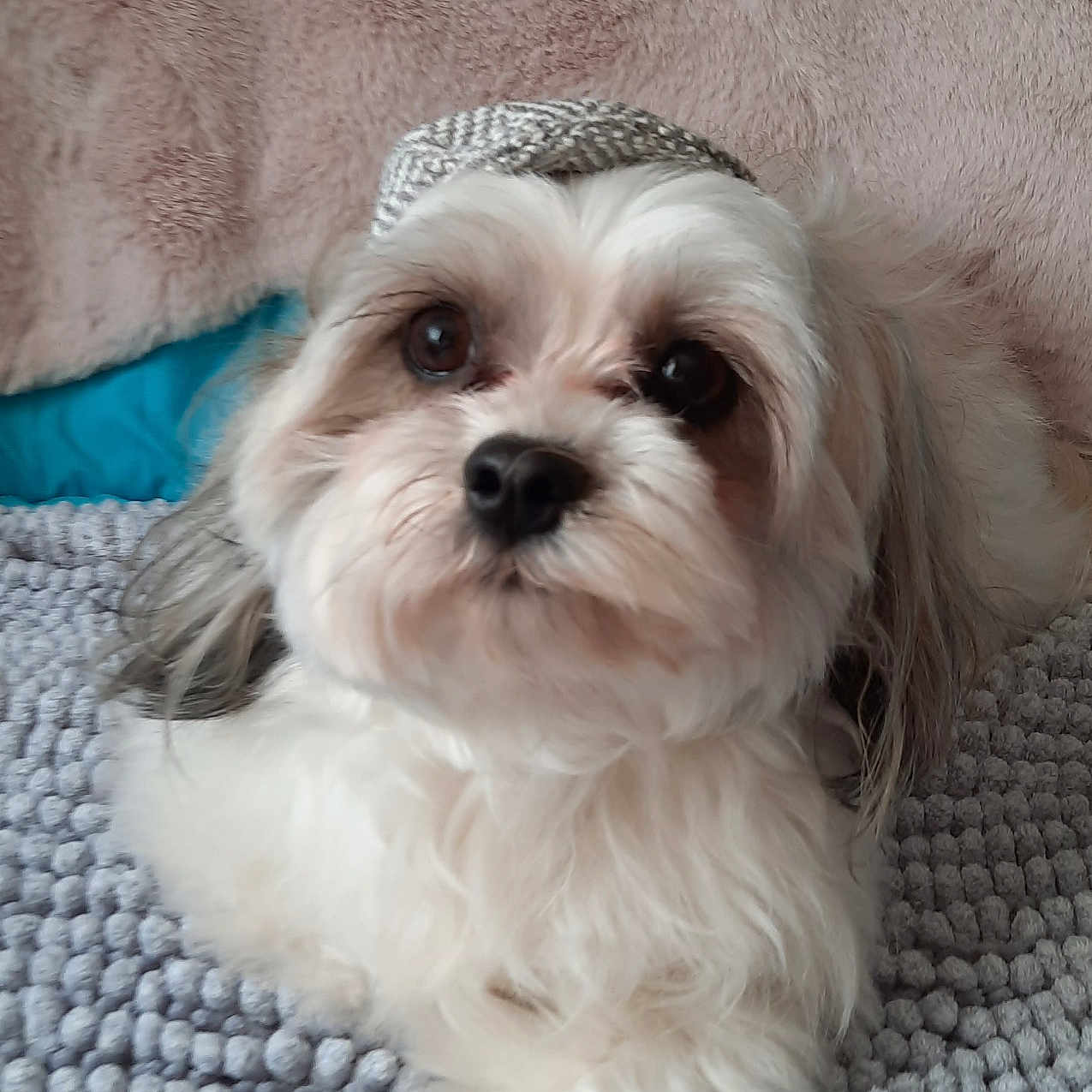 Paolo