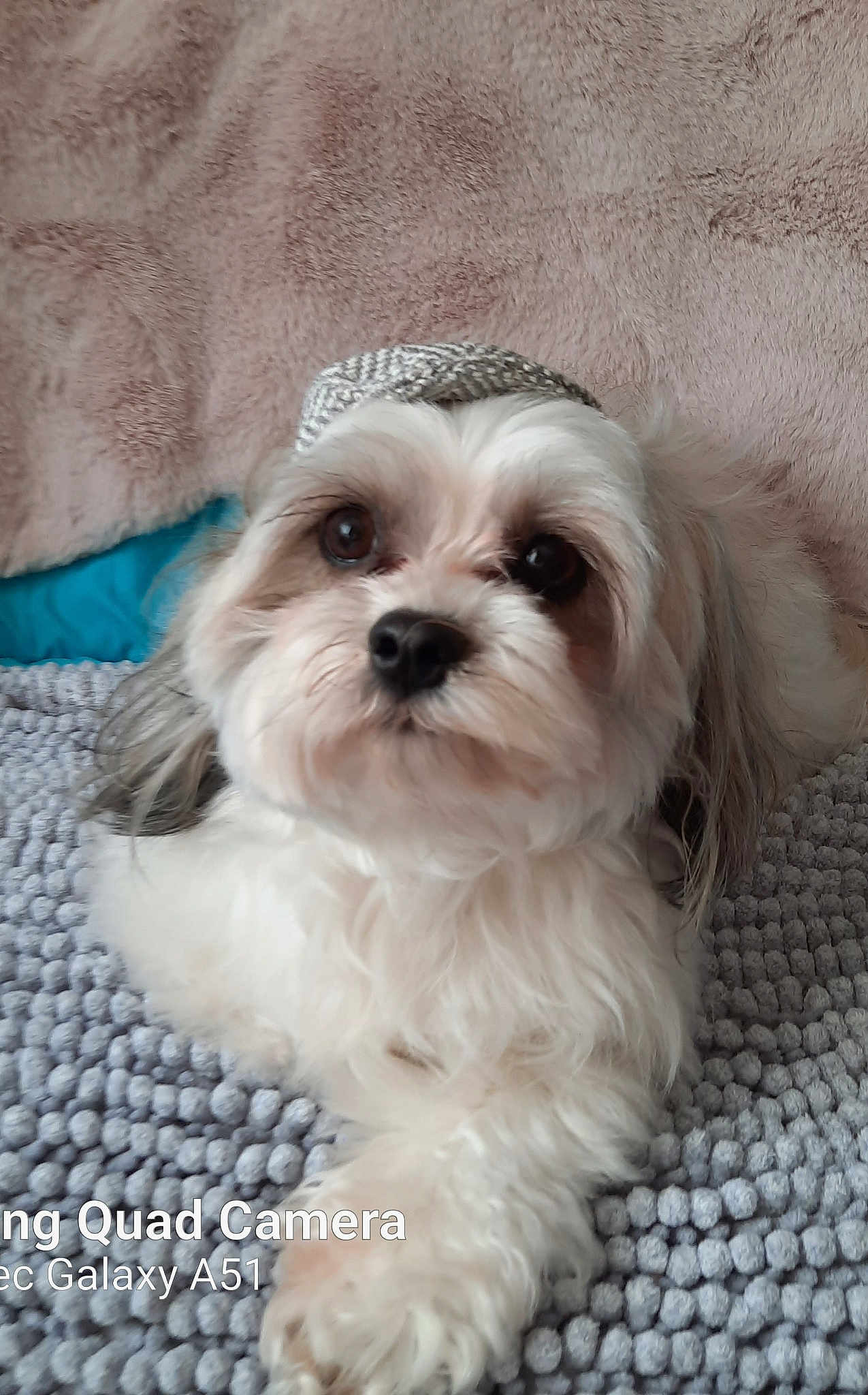 Paolo