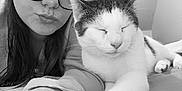 Monsieur Chat participe au concours pour gagner de l'argent avec cette photo : animal, black_and_white, cat, close_up, companion, cozy, cute, face, friendship, fur, glasses, home, indoor, person, pet, portrait, relaxed, resting, sleepy, whiskers