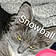 Snowball