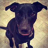Lucy joined the competition — help win amazing prizes!