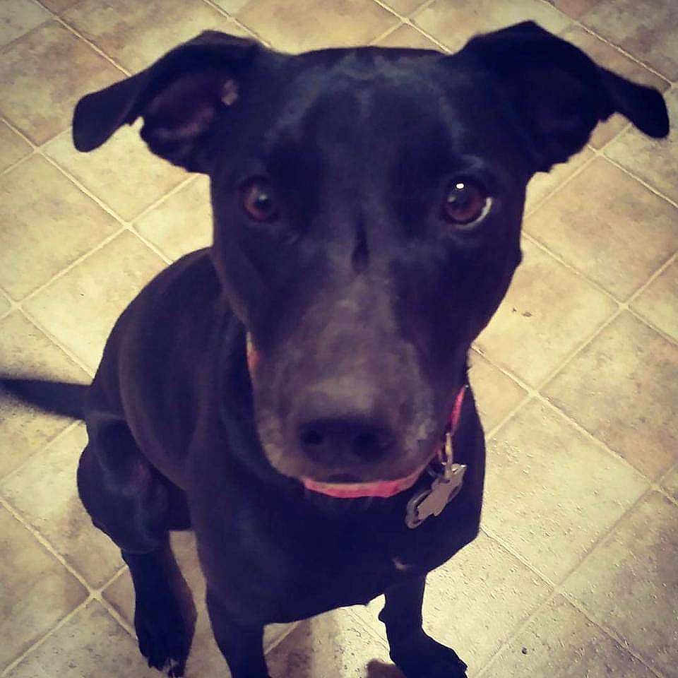 Lucy