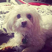 Sugar is registered to the contest to win money with this photo: