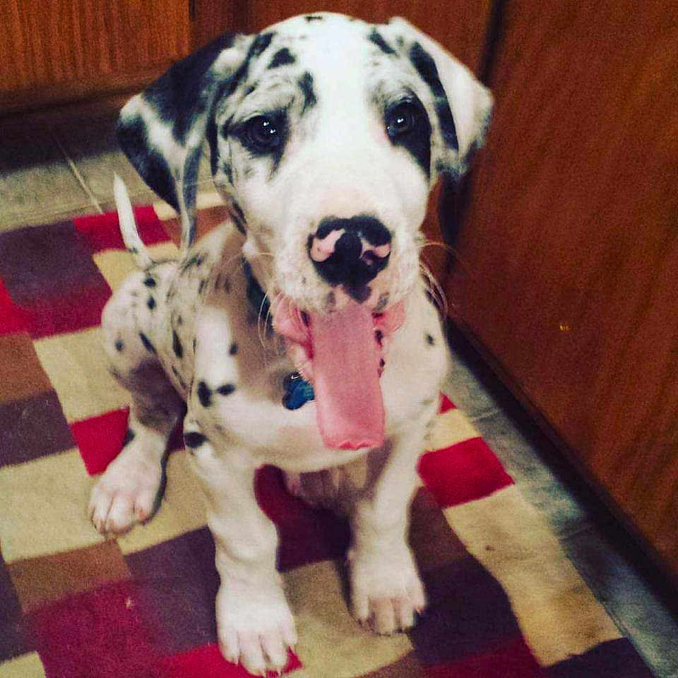 Lucy