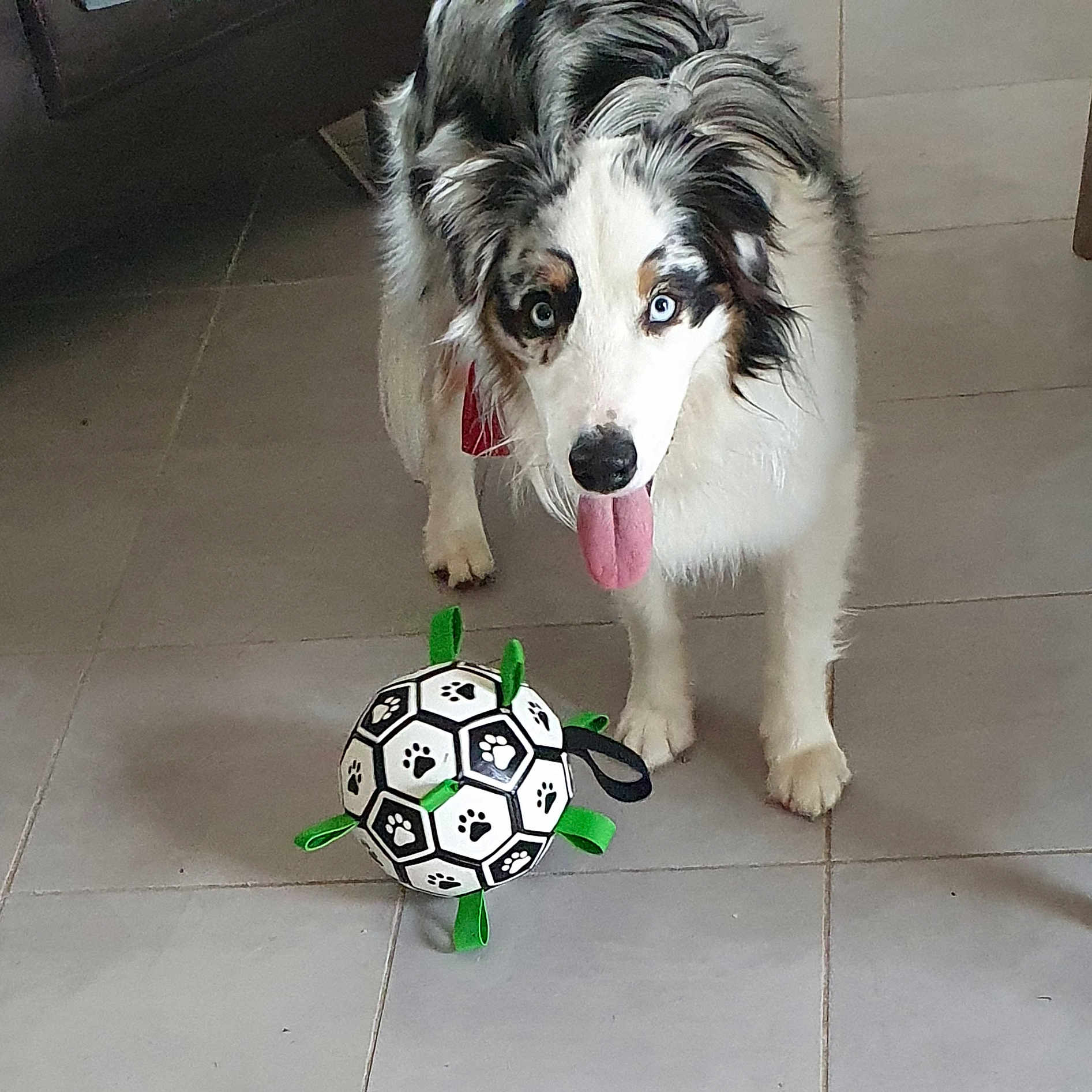 Tiamo