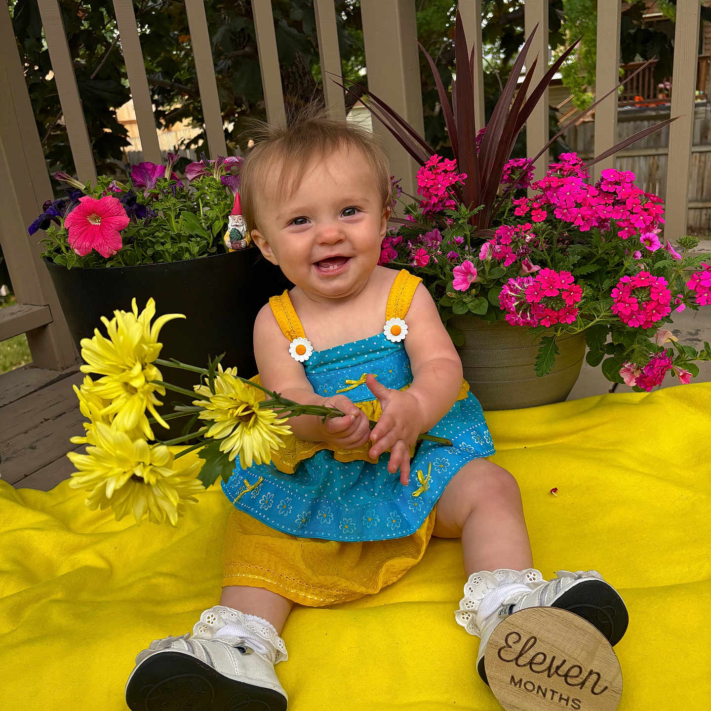 Eden is registered to the contest to win money with this photo: baby, child, flower, yellow_blanket, potted_plants, smiling, outdoor, wooden_deck, railing, dress, shoes, socks, greenery, pink_flowers, purple_flowers, yellow_flowers, happy, portrait, infant, sign