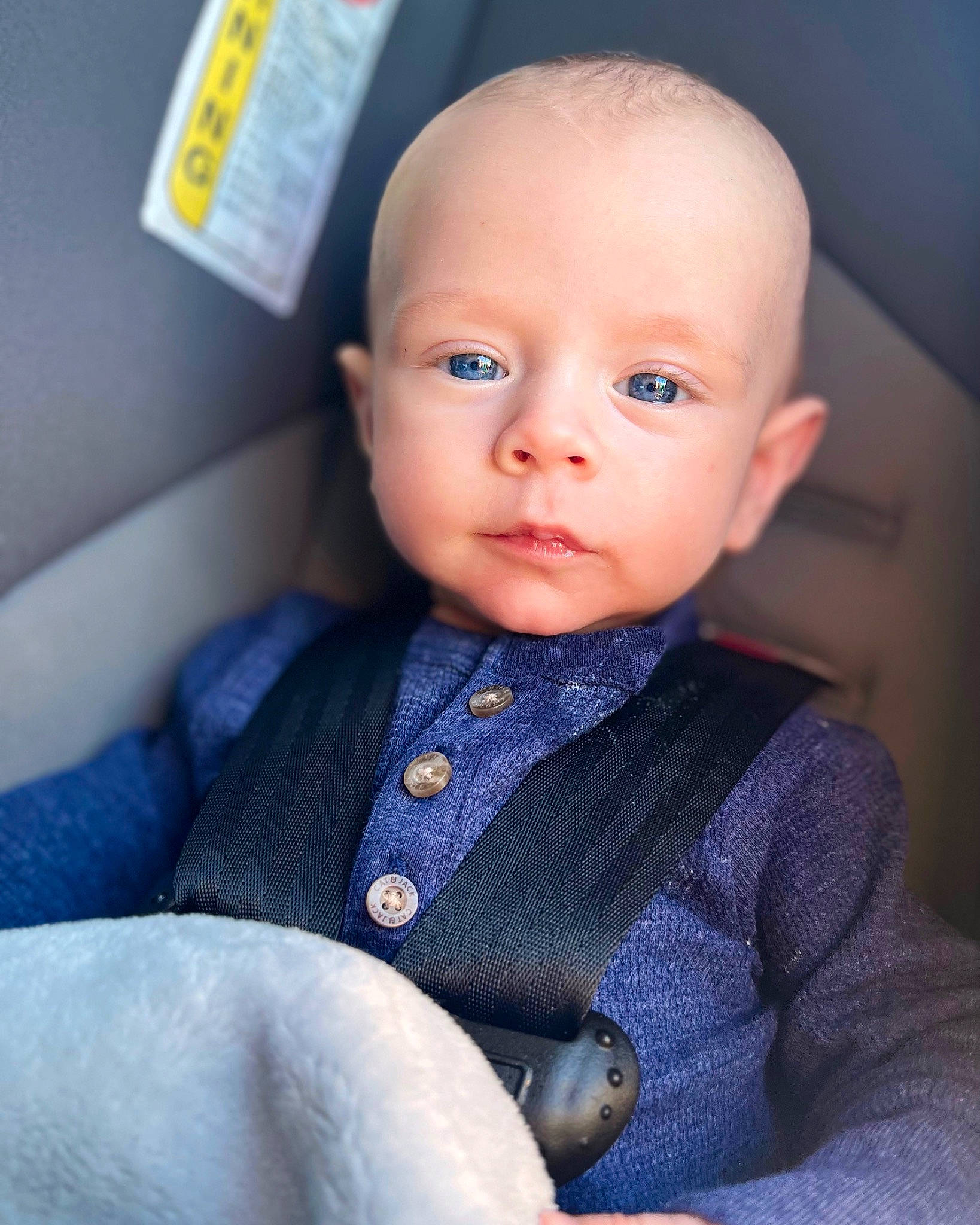 Beau joined the competition — help win amazing prizes! auto_part, baby, baby_products, baby_toddler_clothing, car_seat, collar, comfort, dress, electric_blue, eyelash, grey, iris, neck, nose, person, skin, sleeve, smile, t_shirt, toddler