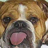 Aiko participe au concours pour gagner de l'argent avec cette photo :