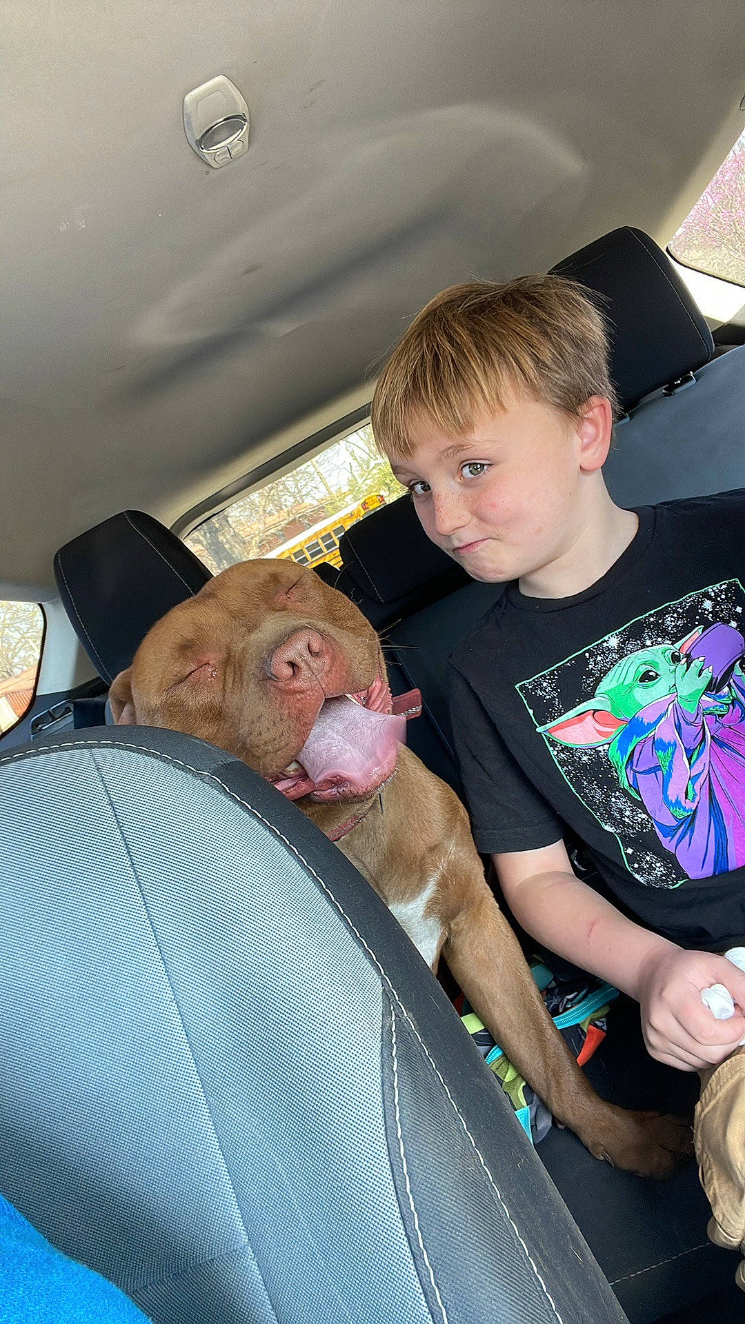 Brutus is registered to the contest to win money with this photo: auto_part, automotive_design, automotive_exterior, automotive_window_part, car, car_seat, child, family_car, fun, hairstyle, hat, lap, luxury_vehicle, motor_vehicle, seat_belt, skin, toddler, vehicle_door, vertebrate, windshield