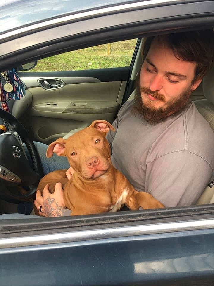 Brutus is registered to the contest to win money with this photo: auto_part, automotive_design, automotive_exterior, automotive_mirror, beard, car, car_seat, carnivore, fawn, hand, hood, human_body, mammal, mode_of_transport, motor_vehicle, mouth, personal_luxury_car, vehicle, vehicle_door, vertebrate