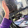 black_cat, can, cat, closeup, computer_accessory, content, cozy, desk, face, feline, hand, home_office, indoor, mousepad, pens, pet, purple_sleeve, resting, sleepy, whiskers