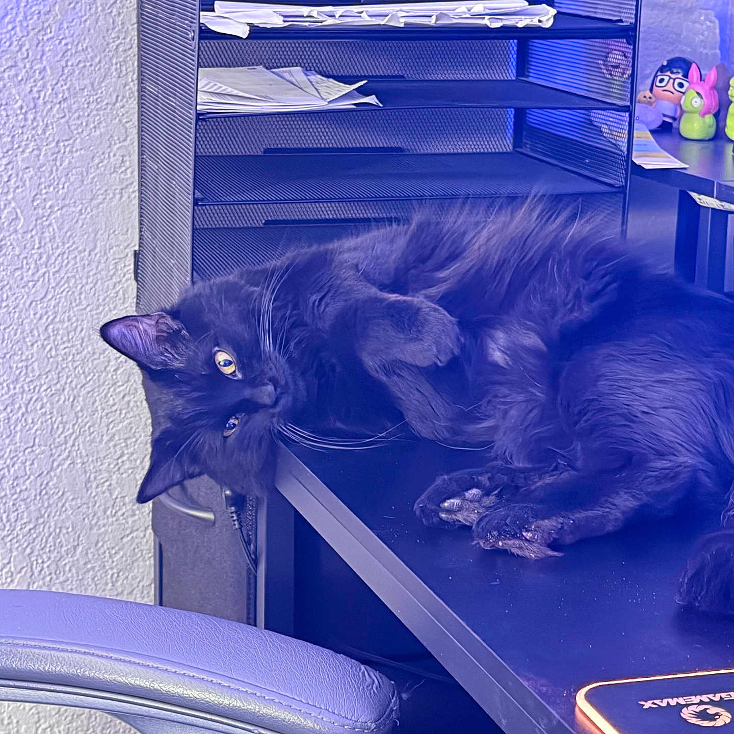 Nimbus