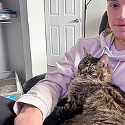 Eir is registered to the contest to win money with this photo: animal, casual, cat, chair, cozy, curious, door, fur, furniture, home, hoodie, indoor, lamp, litter_box, person, pet, relaxed, seated, tabby_cat, young_adult