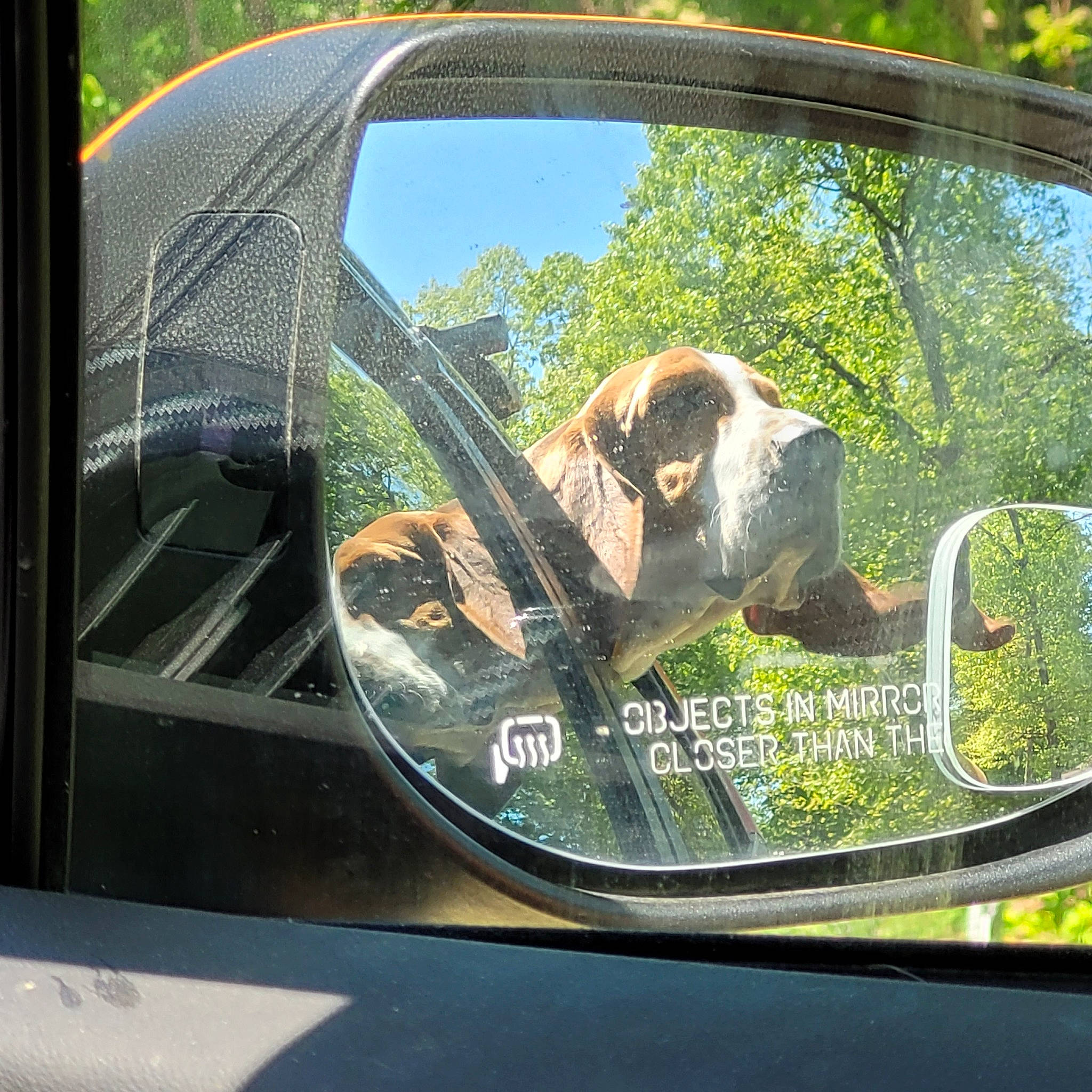 Walter is registered to the contest to win money with this photo: auto_part, automotive_design, automotive_exterior, automotive_lighting, automotive_mirror, automotive_side_view_mirror, car, glass, mirror, mode_of_transport, motor_vehicle, plant, rear_view_mirror, steering_part, steering_wheel, tints_and_shades, tree, vehicle, vehicle_door, windscreen_wiper