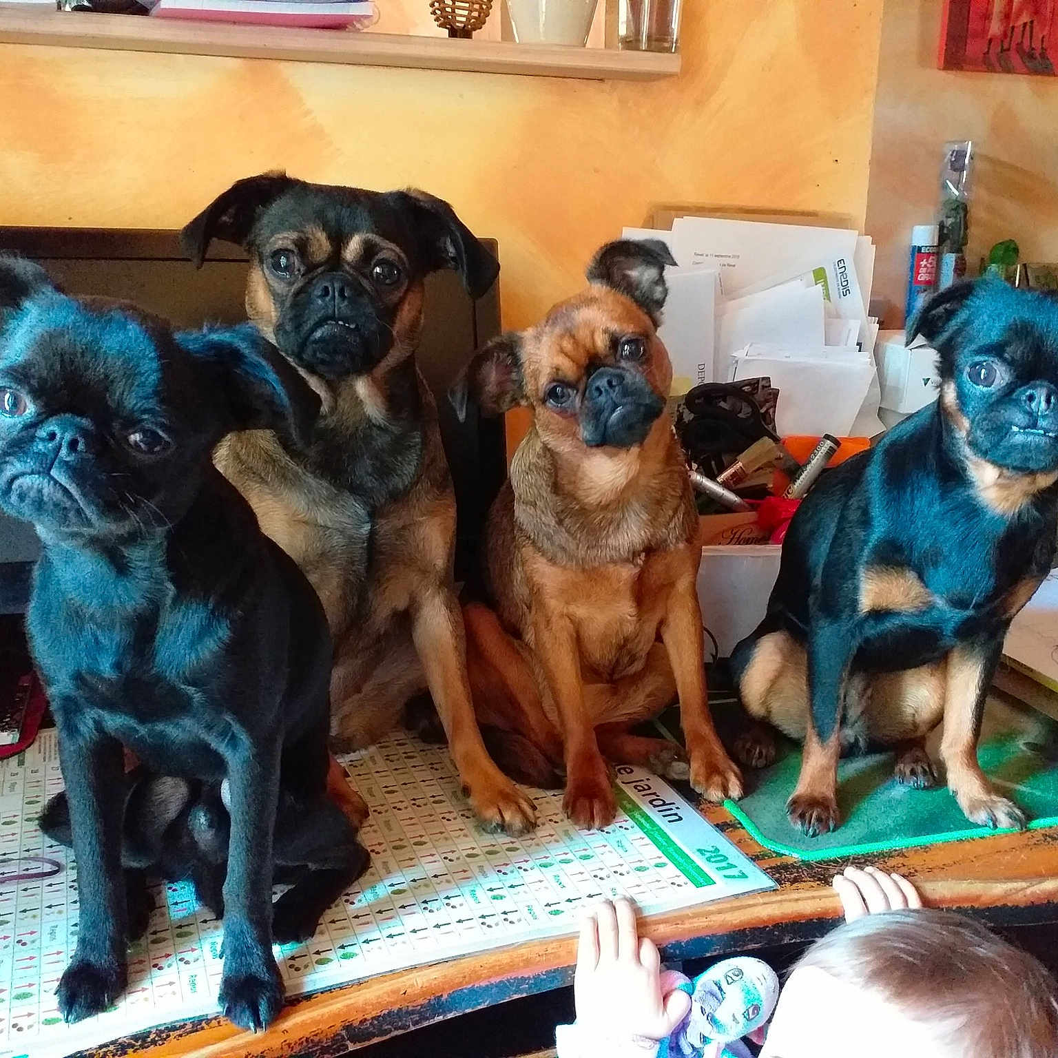 Ma Troupe