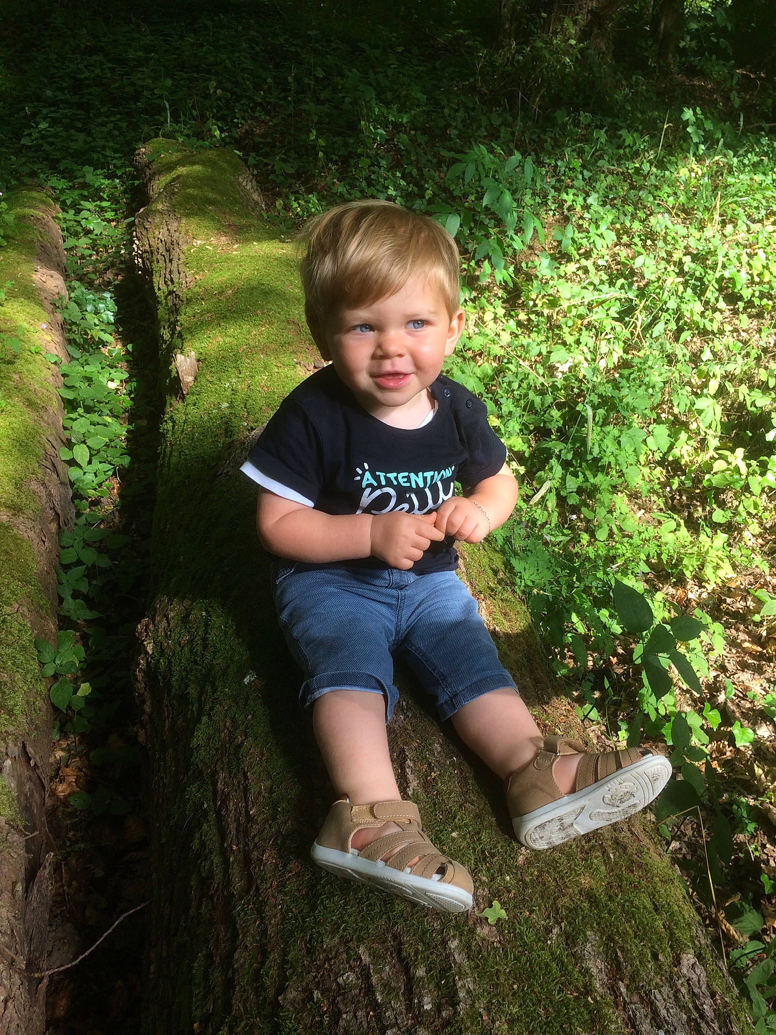 Noha participe au concours pour gagner de l'argent avec cette photo : child, fun, grass, jungle, people_in_nature, person, plant, sitting, standing, tree
