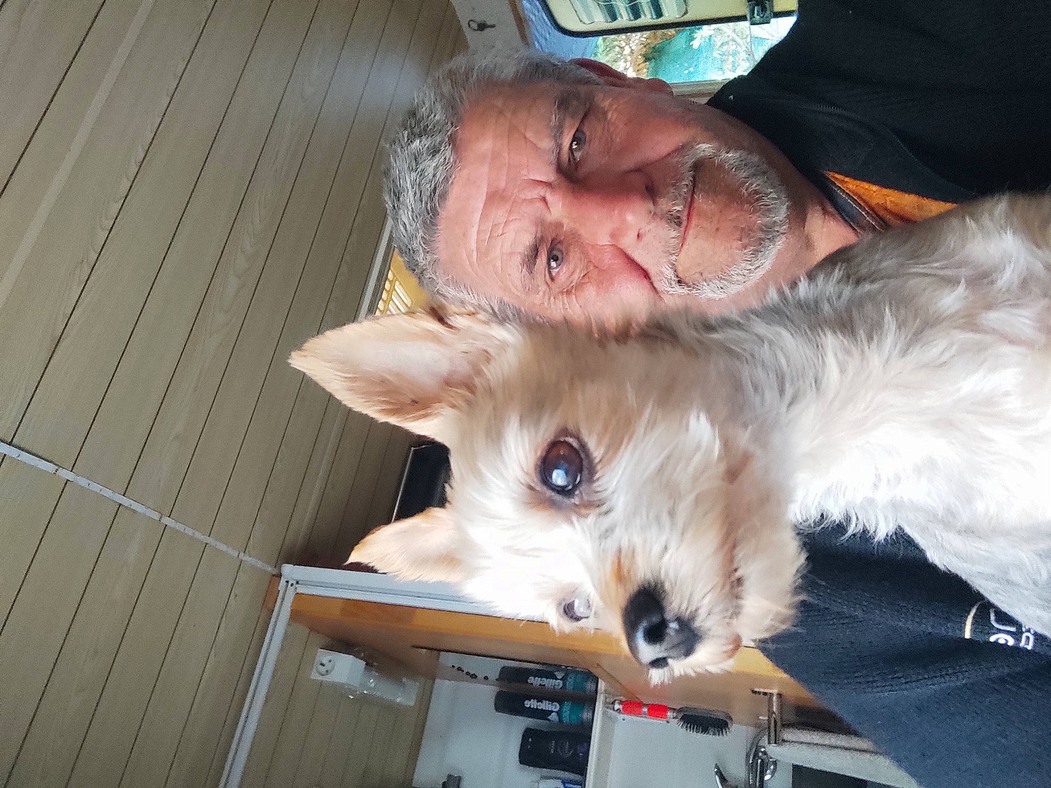 Gallia participe au concours pour gagner de l'argent avec cette photo : beard, canidae, cap, carnivore, companion_dog, dog, dog_breed, ear, fawn, felidae, fur, hat, small_terrier, small_to_medium_sized_cats, snout, sporting_group, toy_dog, whiskers, wood, working_animal