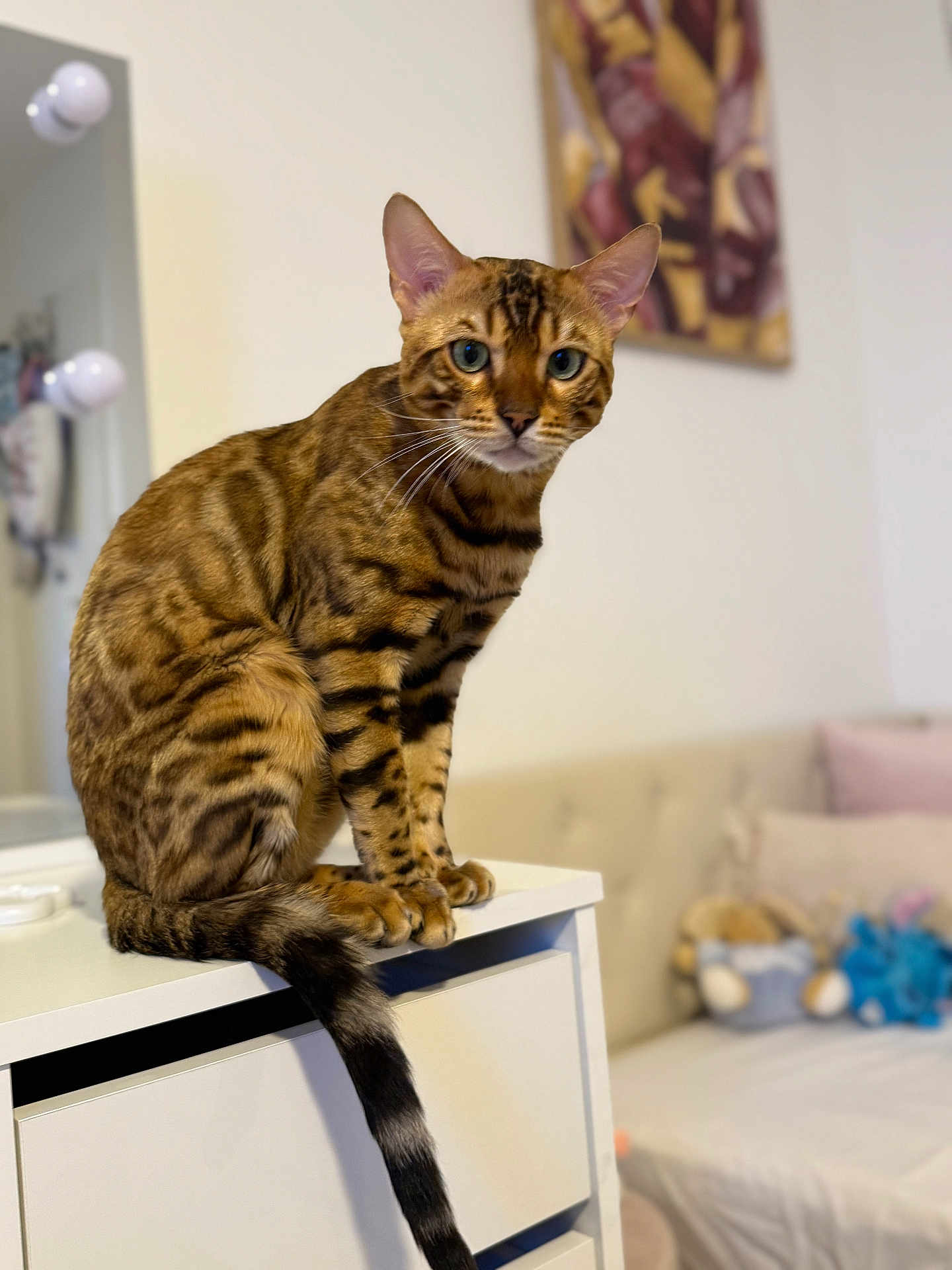 Yoshi a rejoint le concours — aidez-le/la à gagner de superbes lots ! bengal_cat, cat, pet, animal, feline, indoor, furniture, dresser, bedroom, plush_toys, painting, tail, whiskers, ears, eyes, soft_lighting, blurred_background, cozy, domestic, sitting