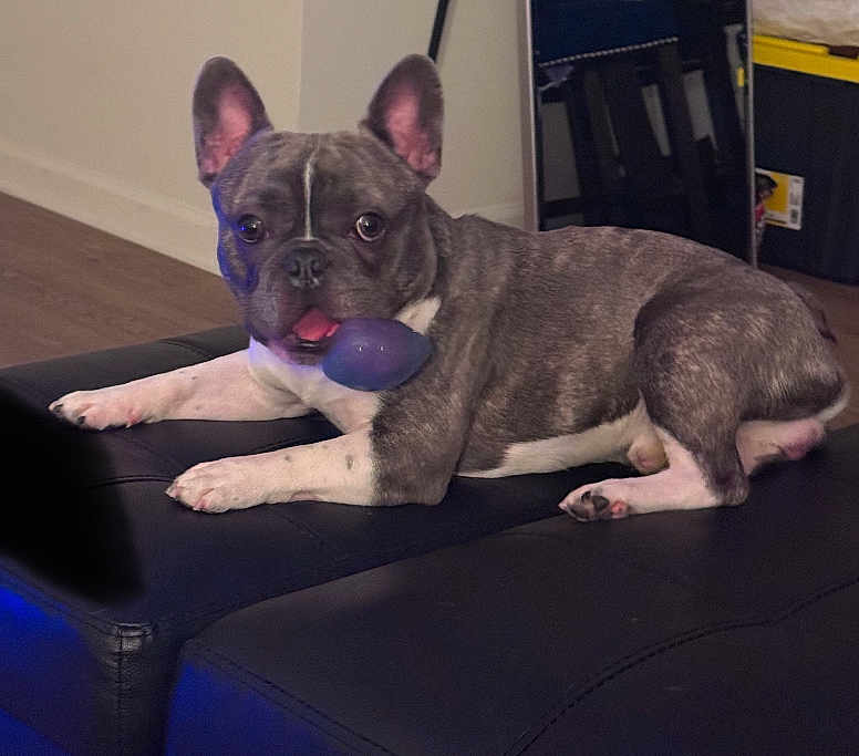 Kash