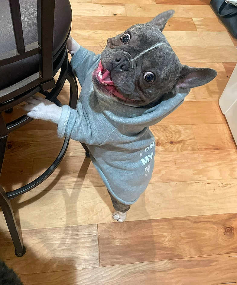 Kash