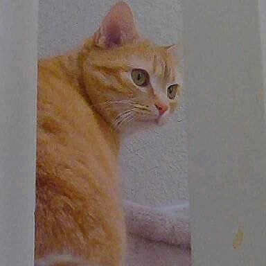 Katie joined the competition — help win amazing prizes!