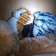 Lenny is registered to the contest to win money with this photo: