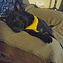Karley is registered to the contest to win money with this photo: