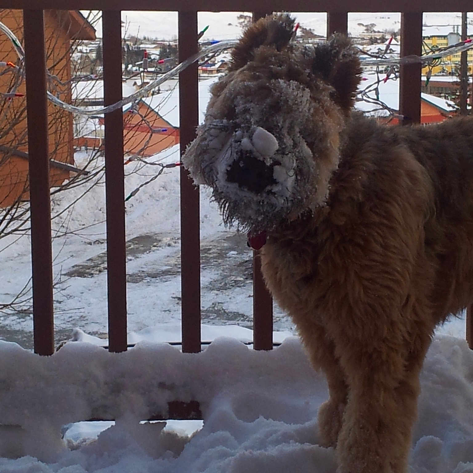 Luca