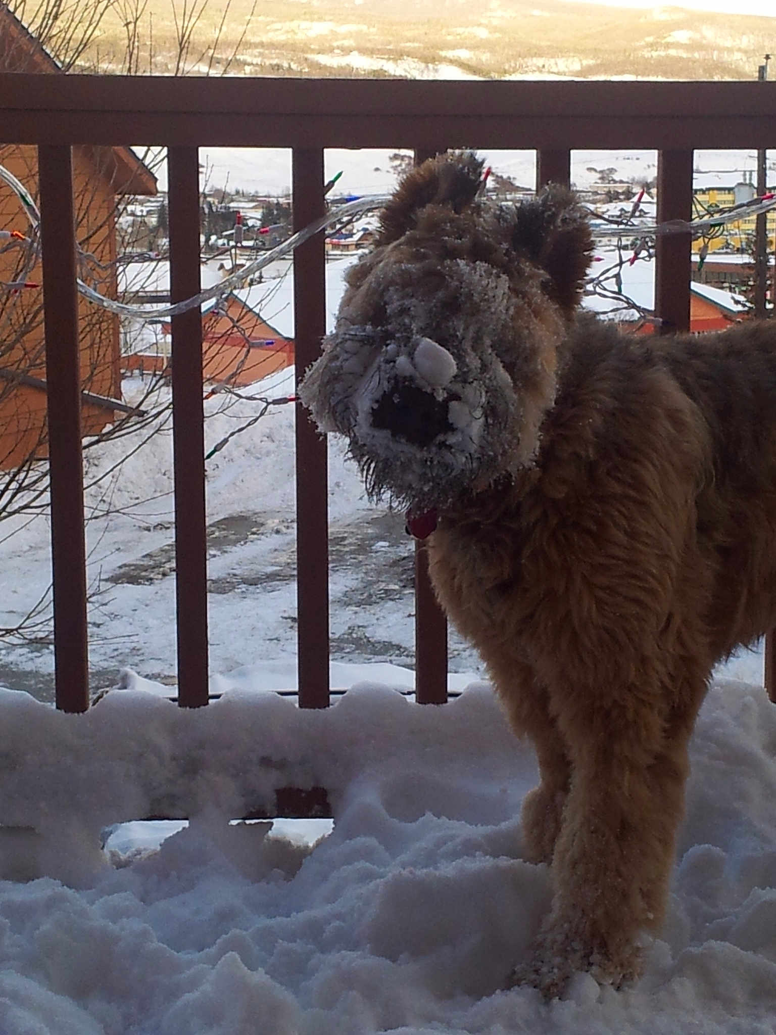 Luca