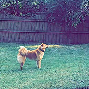 Maya is registered to the contest to win money with this photo: