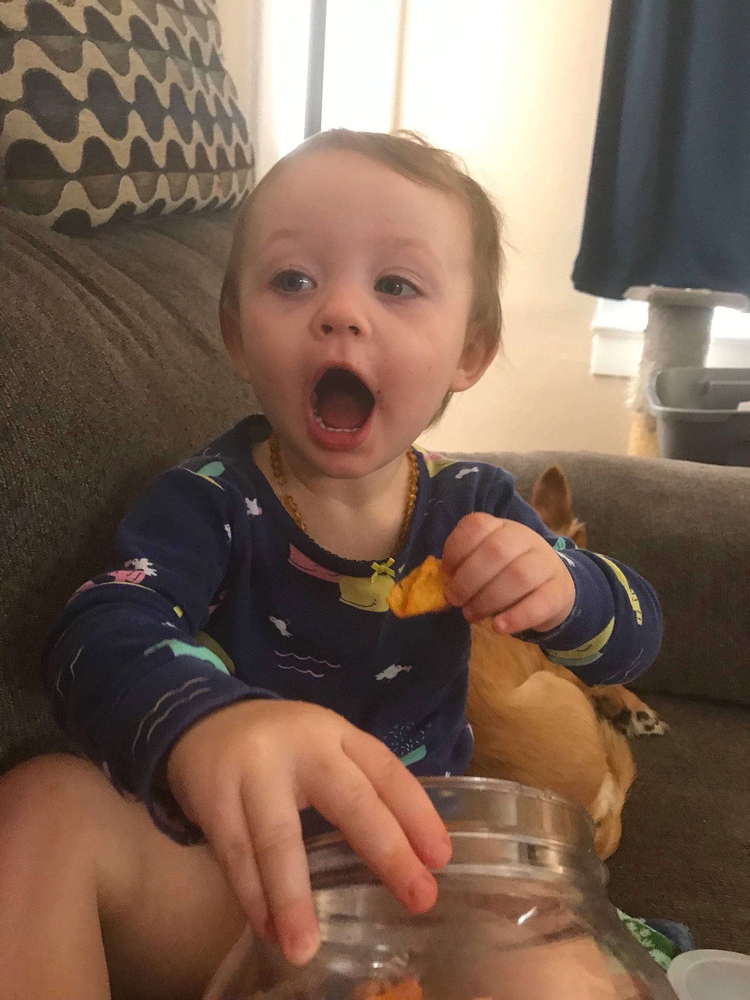 Elle is registered to the contest to win money with this photo: boy, cheek, child, chin, ear, eating, face, finger, forehead, fun, hand, head, infant, mouth, nose, person, product, skin, surprise, thumb