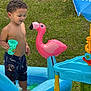 Jason is registered to the contest to win money with this photo: toddler, child, inflatable_pool, water_toy, pink_flamingo, grass, outdoor, summer, play, water, cup, shorts, bare_chest, toy, sunny, fun, happy, daylight, nature, recreation