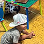 toddler, child, cap, white_cap, sitting, floor, wooden_floor, table, colorful_table, cartoon_characters, toy, plush_toy, cow_plush, smiling, indoor, playroom, shirt, shorts, barefoot, person