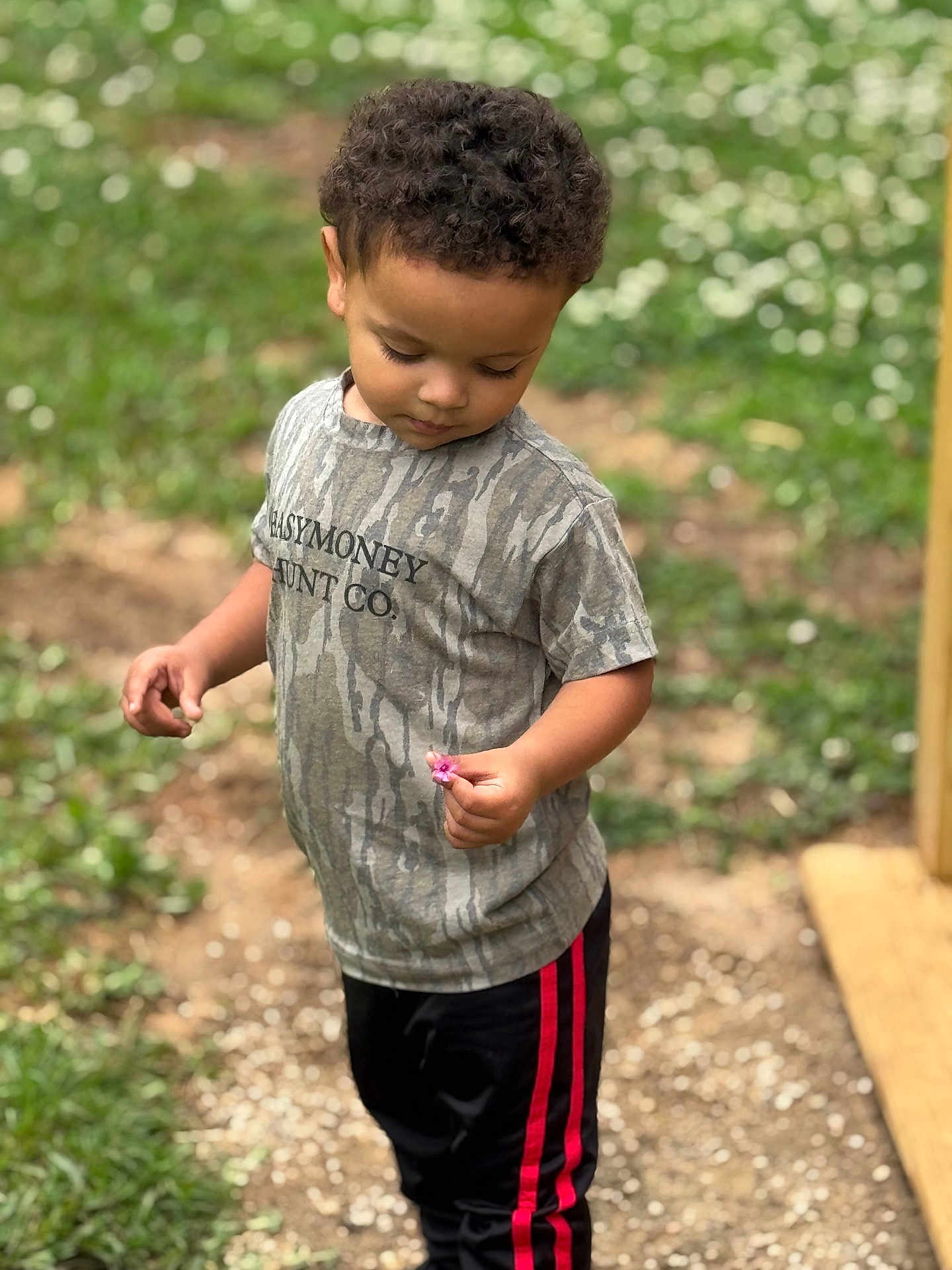 Jason is registered to the contest to win money with this photo: toddler, child, outdoor, grass, flower, curious, standing, camo_shirt, black_pants, red_stripes, nature, greenery, small_plant, gravel_path, daylight, casual_clothing, portrait, person, young_child, exploring