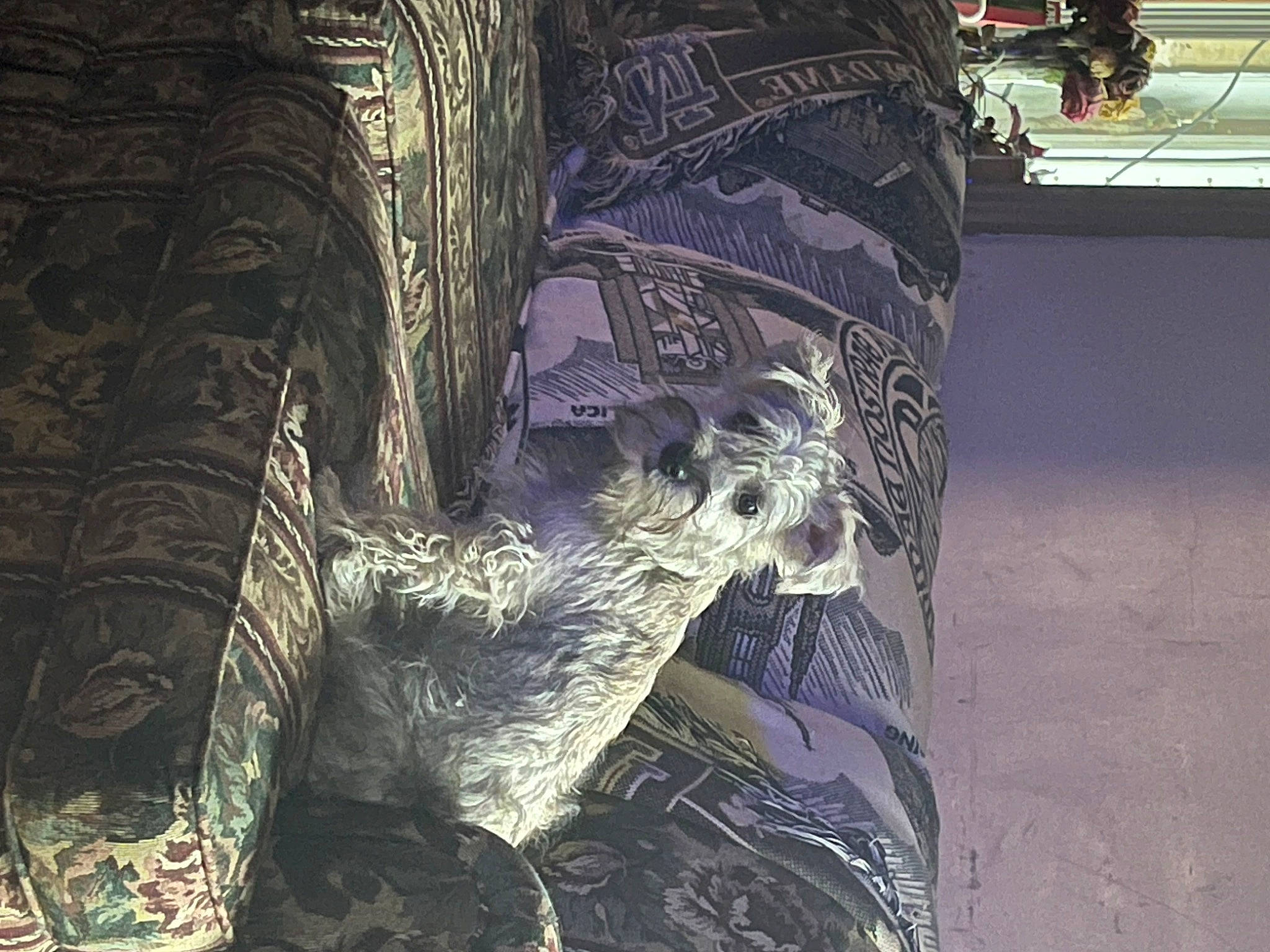 Asher joined the competition — help win amazing prizes! action_adventure_game, art, automotive_tire, cg_artwork, darkness, fiction, fictional_character, graphics, pattern, pc_game, tints_and_shades, tree, video_game_software, visual_arts, wood