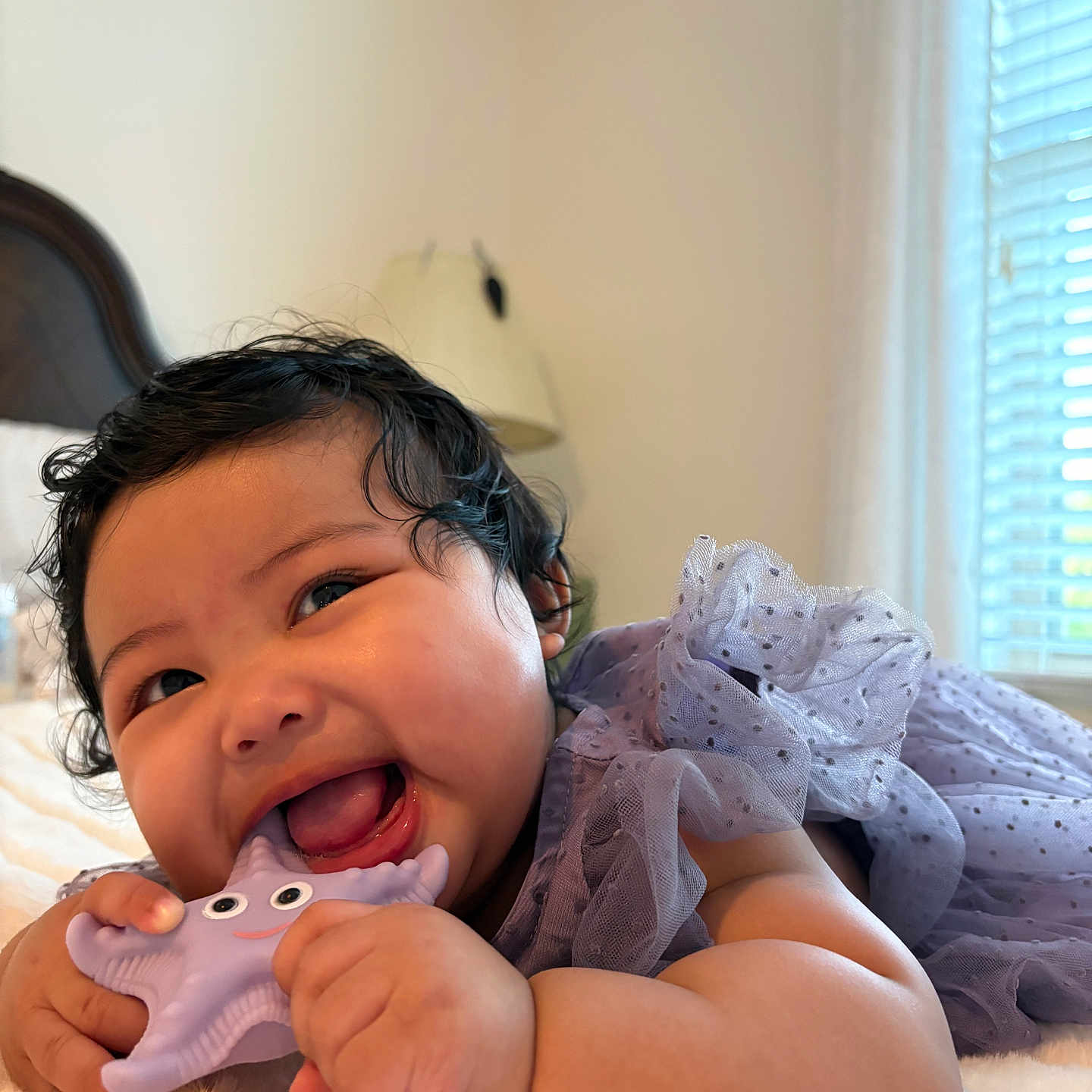 Zipporah is registered to the contest to win money with this photo: baby, child, infant, toy, starfish_toy, purple_dress, curly_hair, smiling, chewing, soft_surface, bedroom, lamp, window, blinds, happy, closeup, portrait, indoor, cute, playful