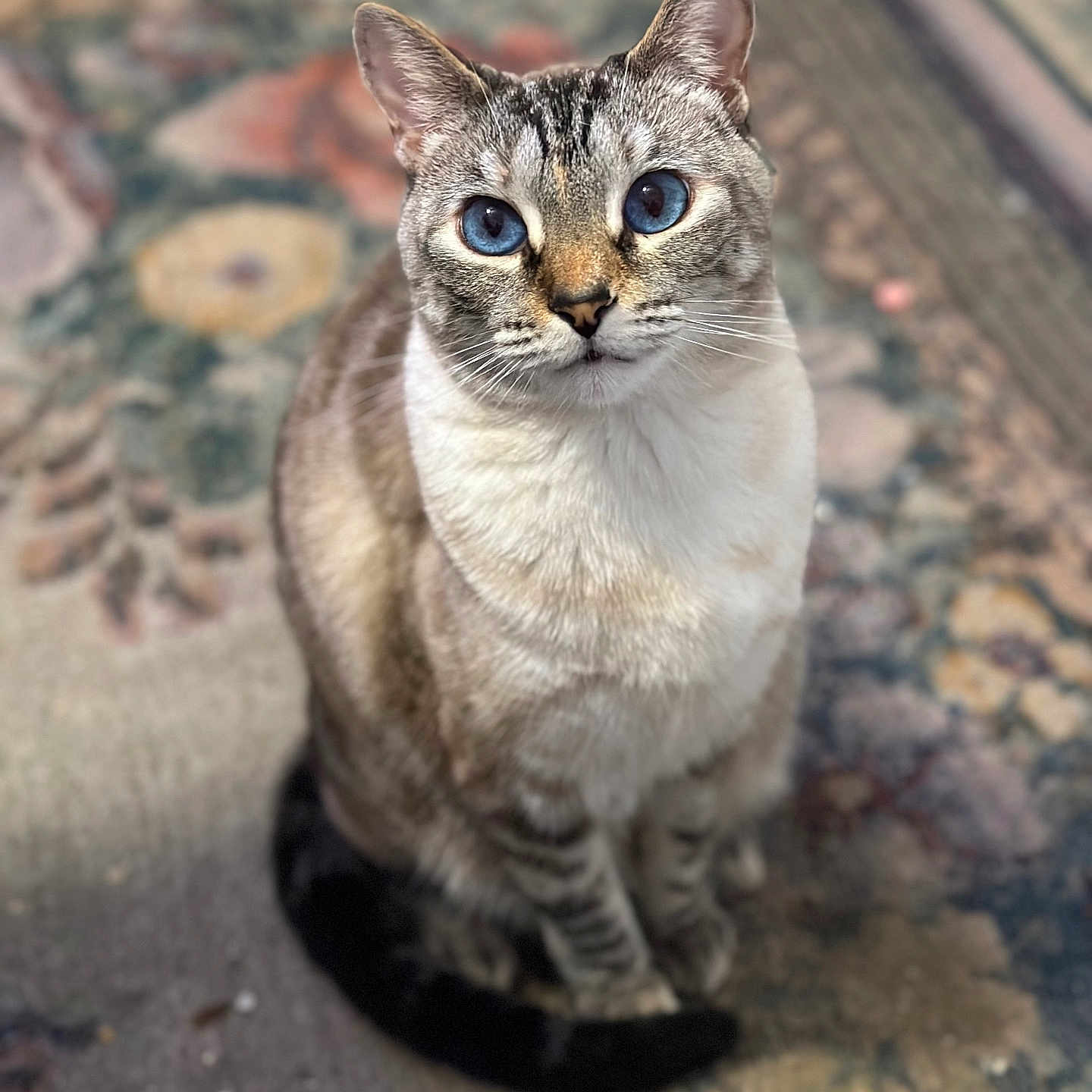 Sweet Annie