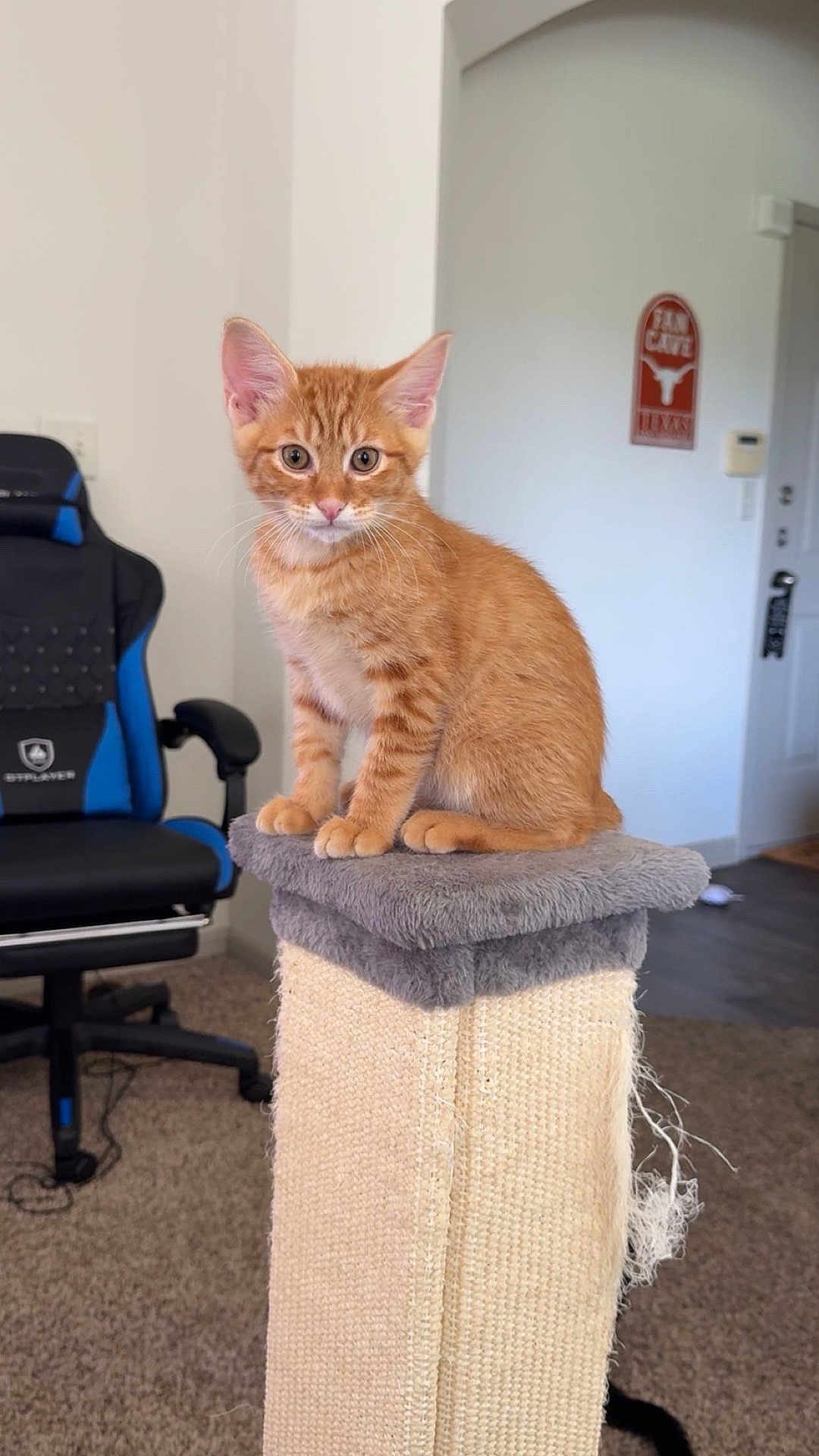 Sebastian