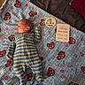 baby, bed, blanket, cozy, face, family_photo, head, indoor, infant, lying_down, milestone_card, newborn, nursery, one_month, onesie, photography, portrait, race_car, sleeping, striped_clothing