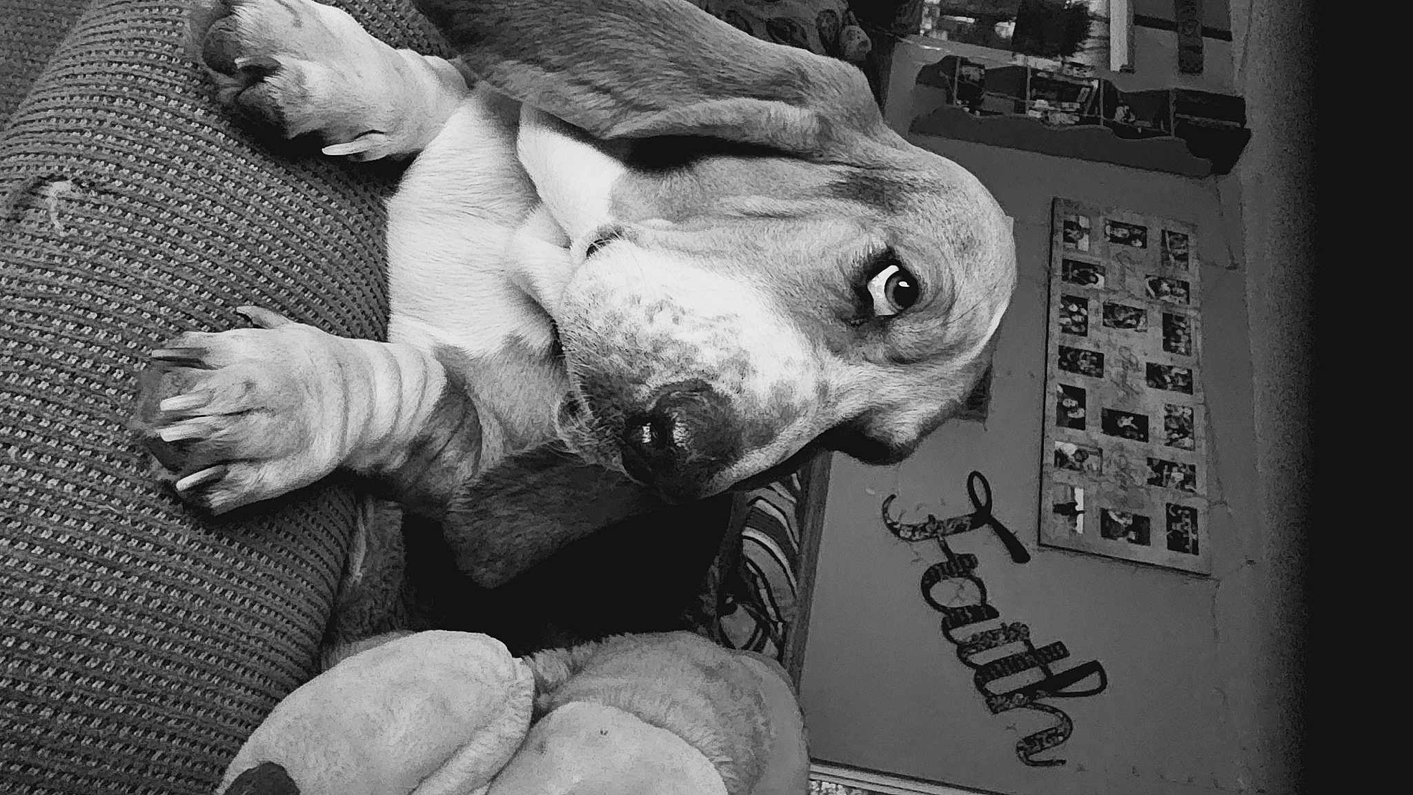 Moxie