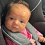 baby, car_seat, child, closeup, clothing, cute, expression, eyes, face, hair, indoor, infant, person, pink_clothing, portrait, safety_harness, seat, seatbelt, small_hand, young_child