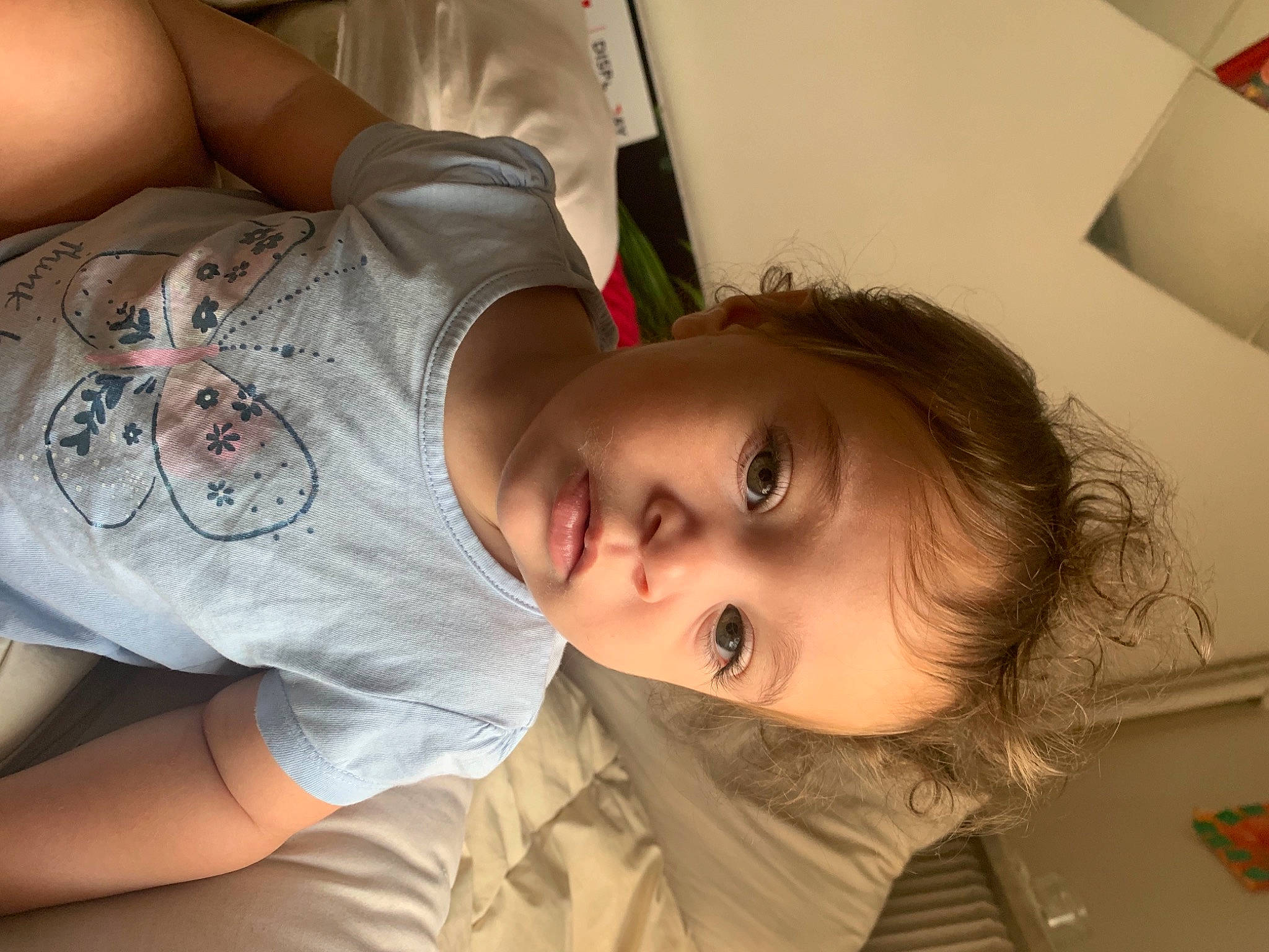 Ava participe au concours pour gagner de l'argent avec cette photo : abdomen, black_hair, cheek, chest, comfort, ear, elbow, eyebrow, eyelash, forehead, happy, iris, joint, mouth, neck, nose, person, skin, t_shirt, toddler